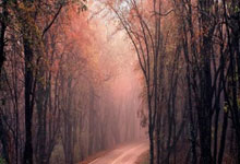 书画装祯哪个字错了答案是什么含义啊,书画装裱全过程图解