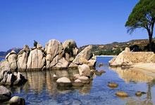 装祯的拼音是什么写出来的呢,装祯的拼音是什么写出来的呢怎么读